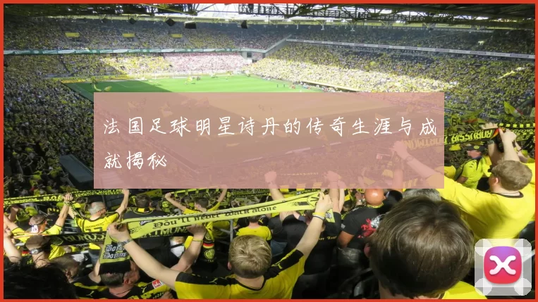 法国足球明星诗丹的传奇生涯与成就揭秘