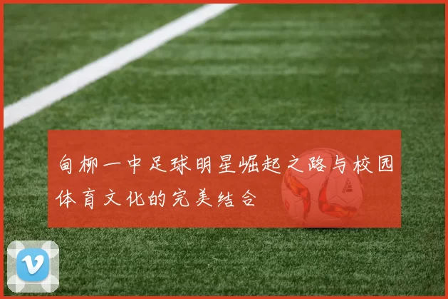 甸柳一中足球明星崛起之路与校园体育文化的完美结合