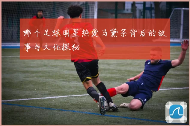 哪个足球明星热爱马黛茶背后的故事与文化探秘