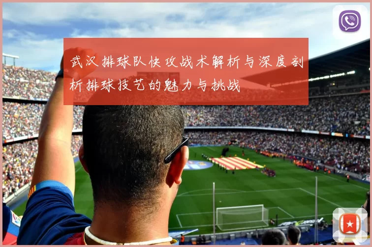 武汉排球队快攻战术解析与深度剖析排球技艺的魅力与挑战