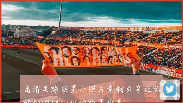 高清足球明星小照片素材分享让你轻松找到心仪的球星形象