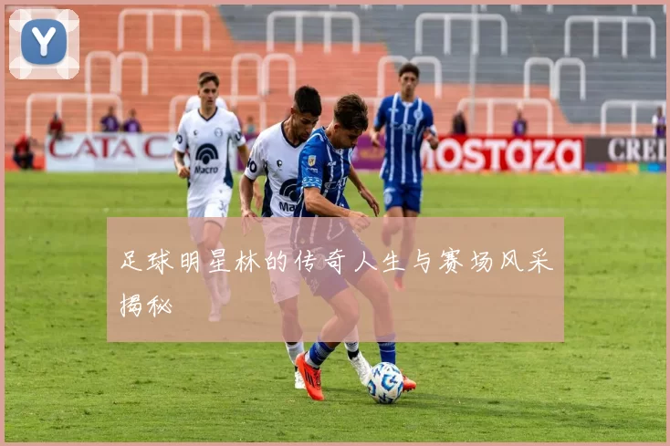 足球明星林的传奇人生与赛场风采揭秘