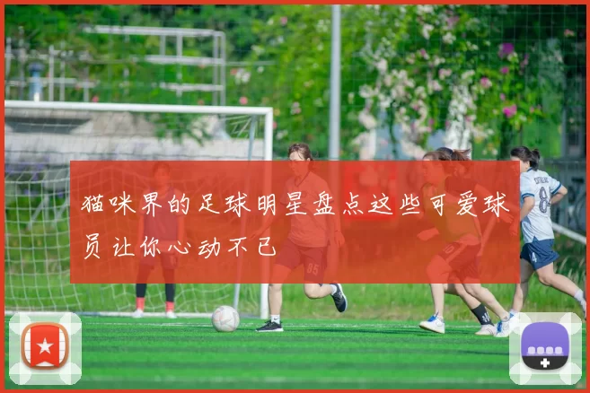 猫咪界的足球明星盘点这些可爱球员让你心动不已