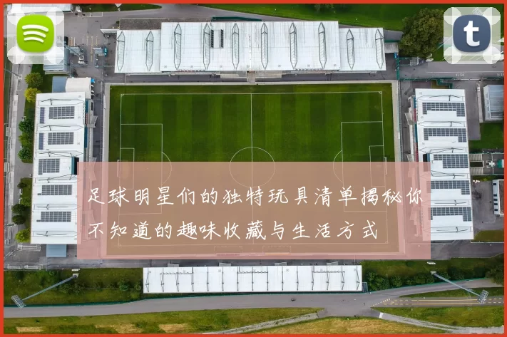 足球明星们的独特玩具清单揭秘你不知道的趣味收藏与生活方式
