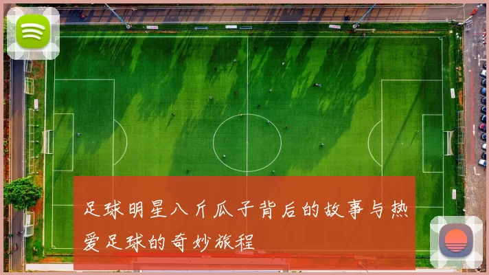 足球明星八斤瓜子背后的故事与热爱足球的奇妙旅程