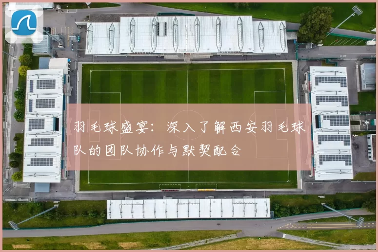 羽毛球盛宴：深入了解西安羽毛球队的团队协作与默契配合