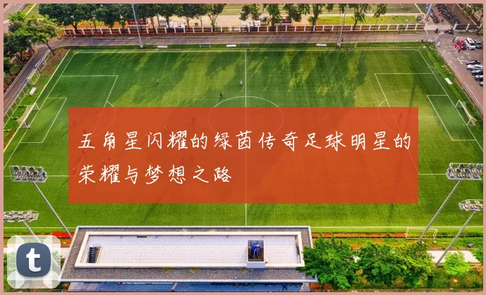五角星闪耀的绿茵传奇足球明星的荣耀与梦想之路