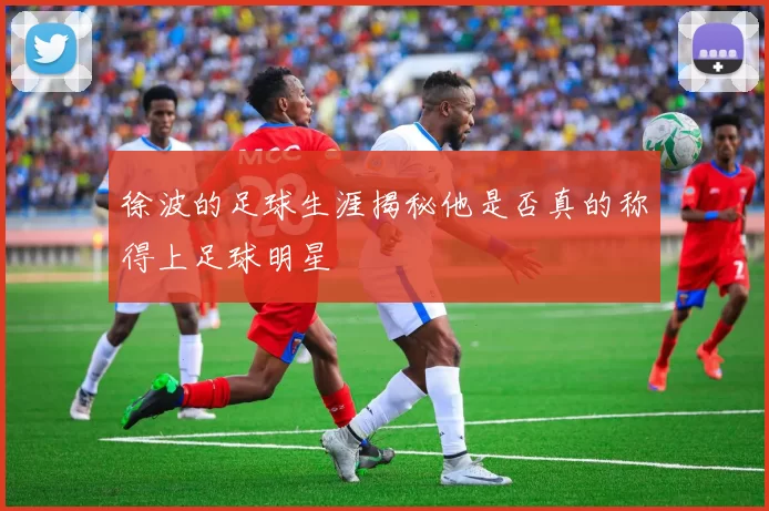 徐波的足球生涯揭秘他是否真的称得上足球明星
