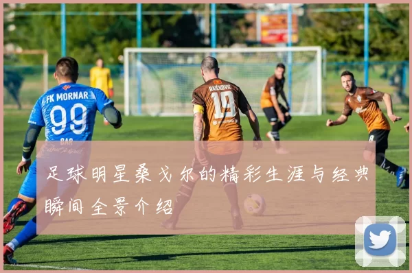 足球明星桑戈尔的精彩生涯与经典瞬间全景介绍