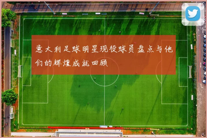 意大利足球明星现役球员盘点与他们的辉煌成就回顾