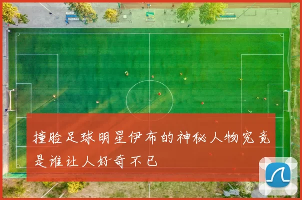 撞脸足球明星伊布的神秘人物究竟是谁让人好奇不已