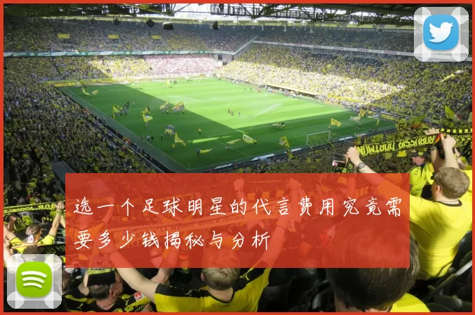 选一个足球明星的代言费用究竟需要多少钱揭秘与分析