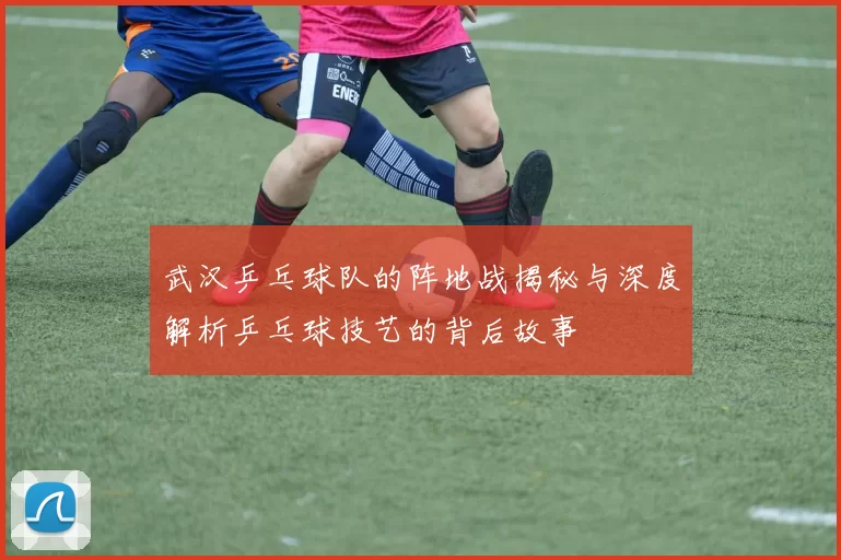 武汉乒乓球队的阵地战揭秘与深度解析乒乓球技艺的背后故事