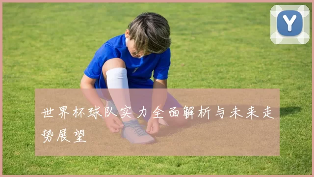 世界杯球队实力全面解析与未来走势展望