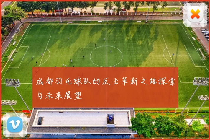 成都羽毛球队的反击革新之路探索与未来展望