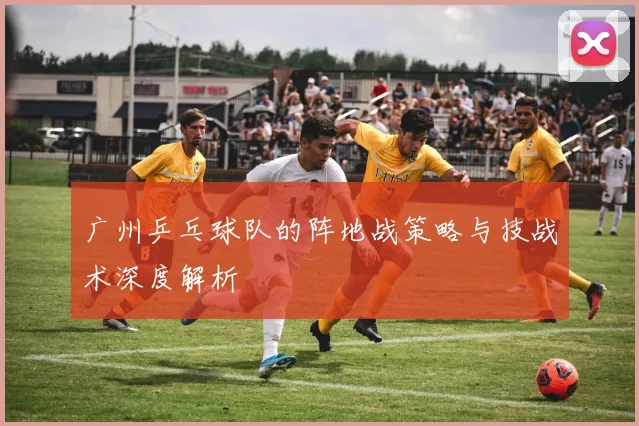 广州乒乓球队的阵地战策略与技战术深度解析