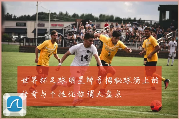 世界杯足球明星绰号揭秘球场上的传奇与个性化称谓大盘点