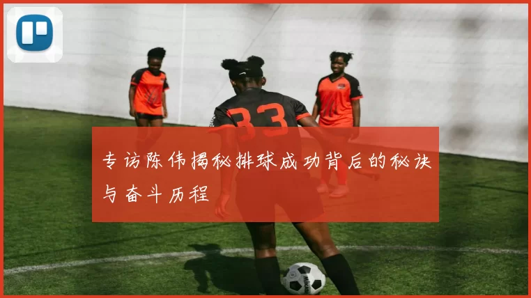 专访陈伟揭秘排球成功背后的秘诀与奋斗历程