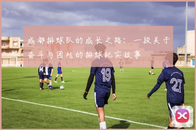 成都排球队的成长之路：一段关于奋斗与团结的排球纪实故事