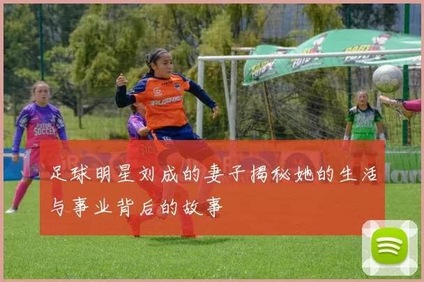 足球明星刘成的妻子揭秘她的生活与事业背后的故事