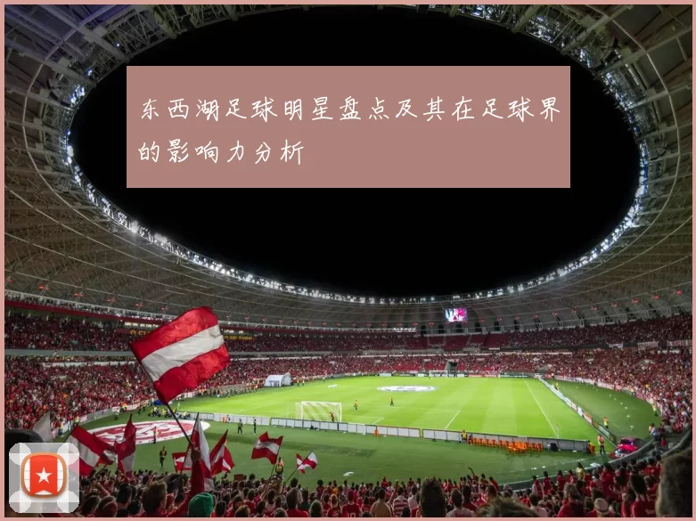 东西湖足球明星盘点及其在足球界的影响力分析