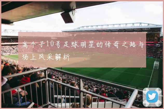 高个子10号足球明星的传奇之路与场上风采解析