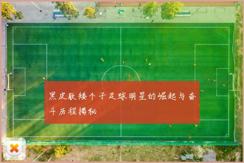 黑皮肤矮个子足球明星的崛起与奋斗历程揭秘