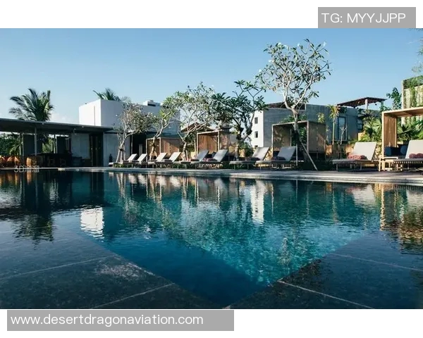 畅享夏日清凉泳池必备神器大盘点，打造完美水中时光