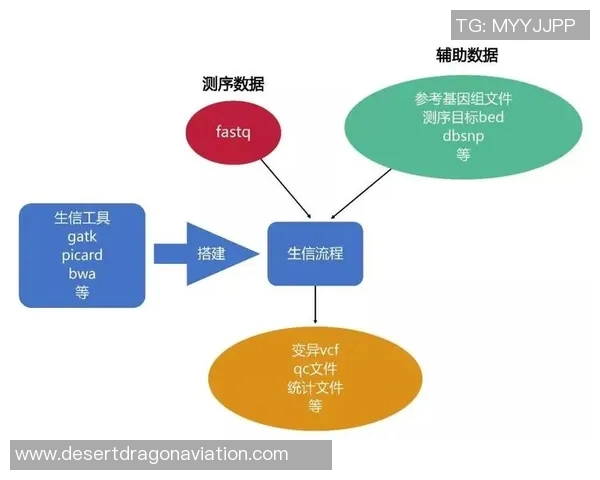 广州乒乓球队实力分析与表现评估的全面数据解读与趋势分析