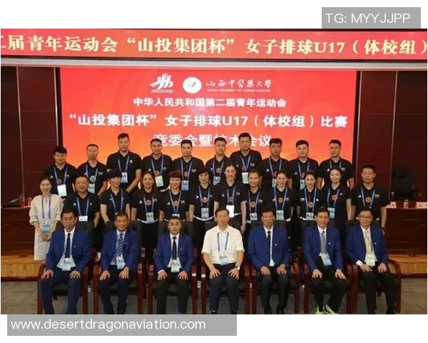 深圳排球队的比赛经验揭秘：排球巨献背后的故事与技巧分析